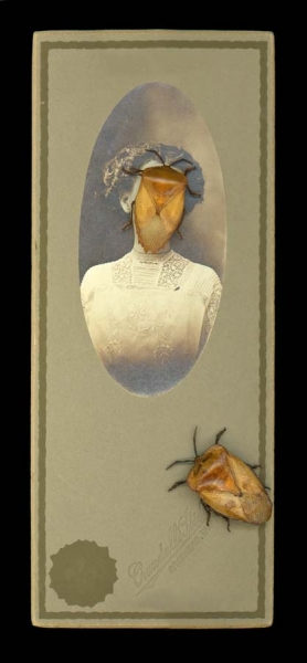 Photograph Andy Goodwin Aphid Face on One Eyeland